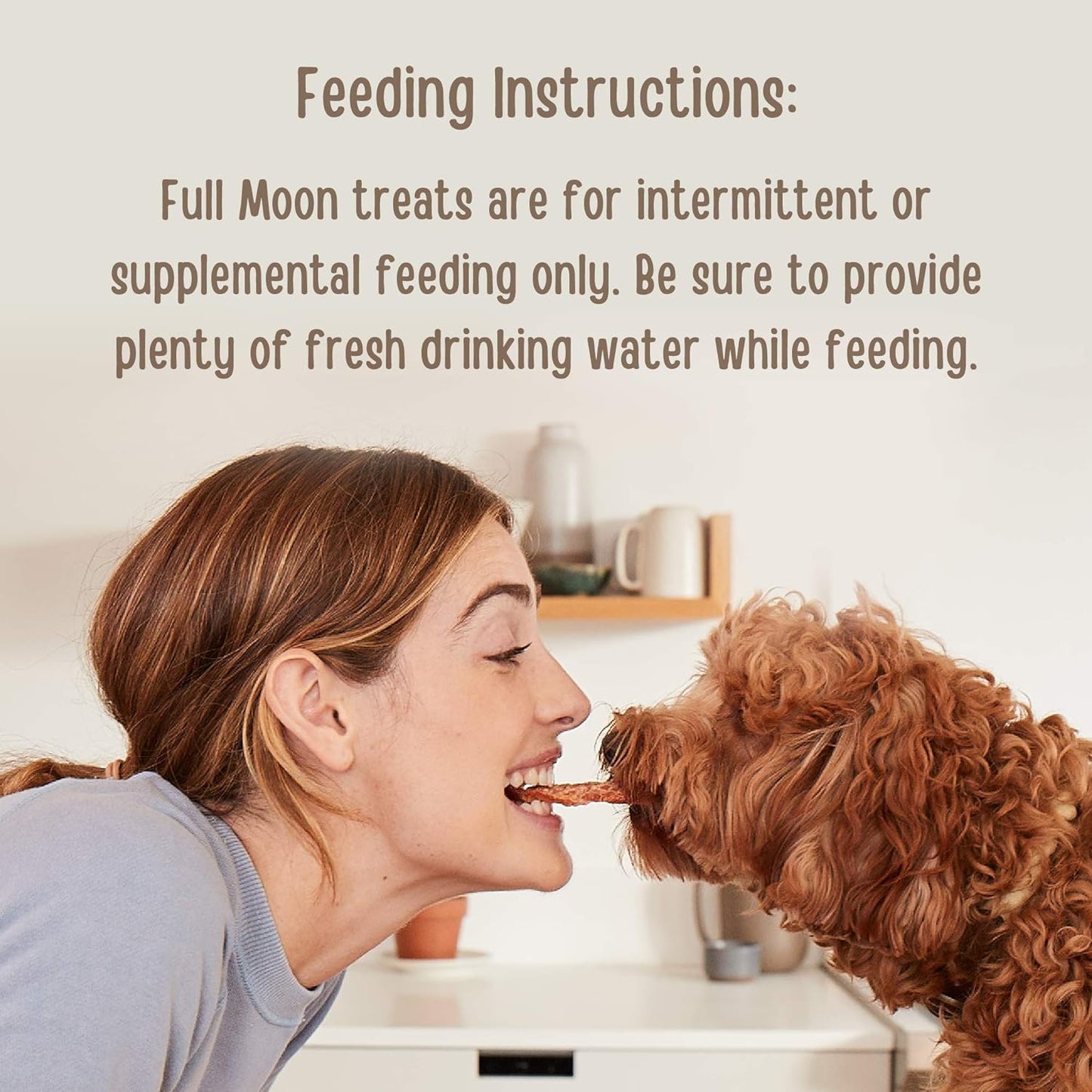 USDA Organic Chicken Training Treats Healthy All Natural Dog Treats Human Grade